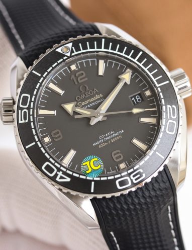 Omega Seamaster Professional Watch