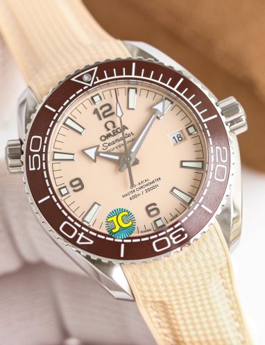 Omega Seamaster Planet Ocean Co-Axial Master Chronometer