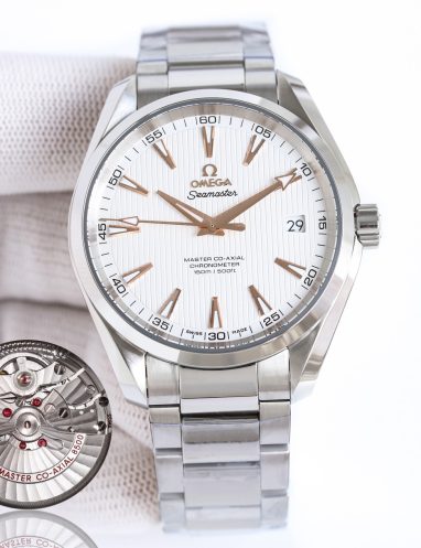 Omega Seamaster Aqua Terra Master Co-Axial Watch