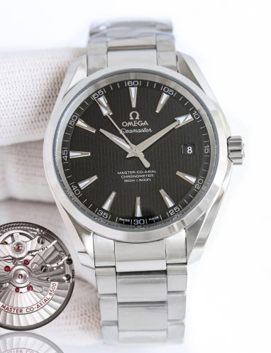 Omega Seamaster Aqua Terra Master Co-Axial Watch