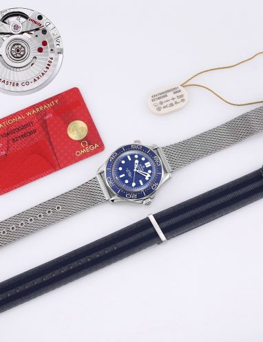 Omega Seamaster Blue Dial Men's Watch
