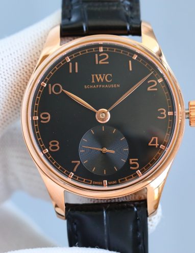 IWC Schaffhausen Classic Black Dial Watch
